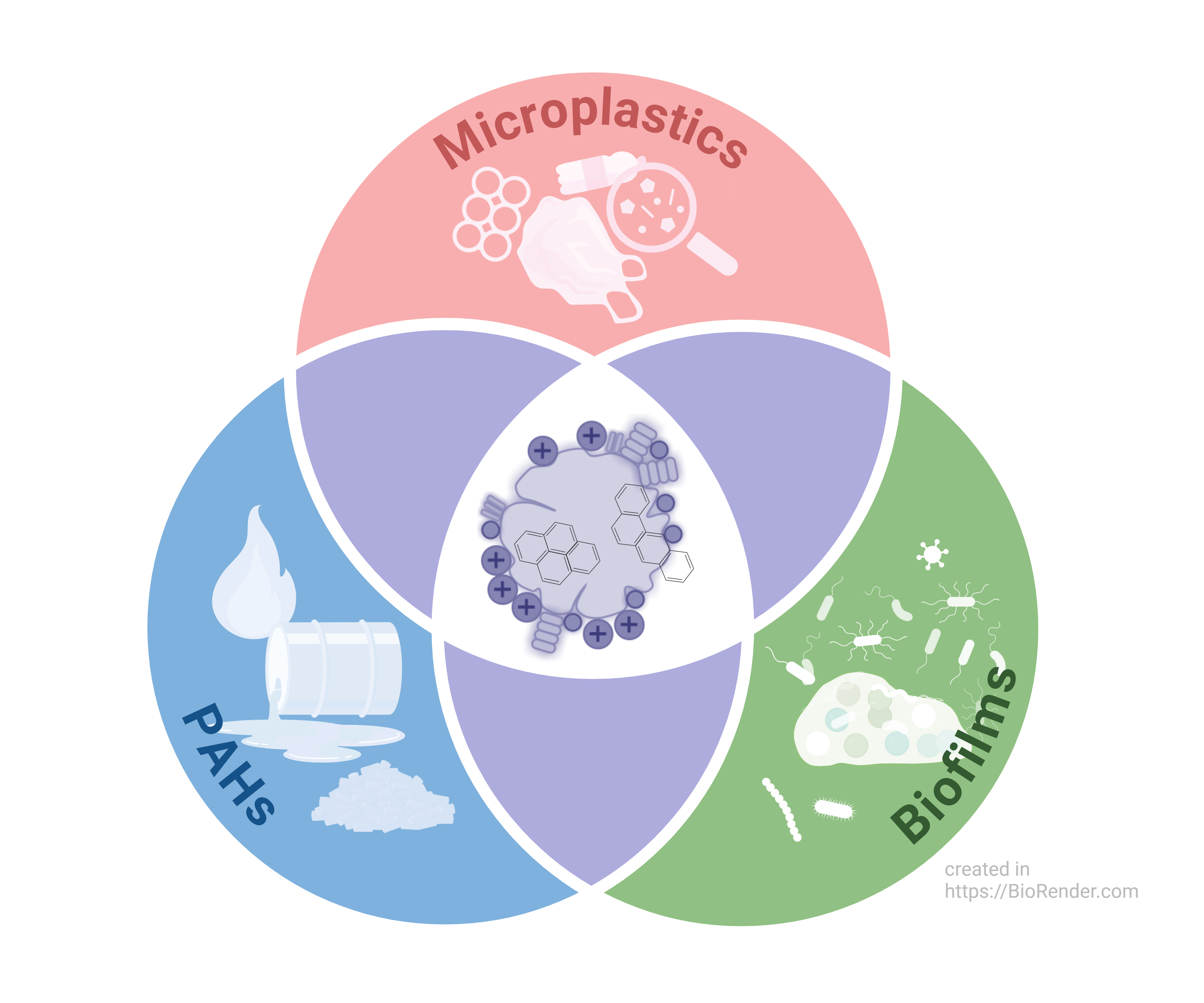 Graphical Abstract